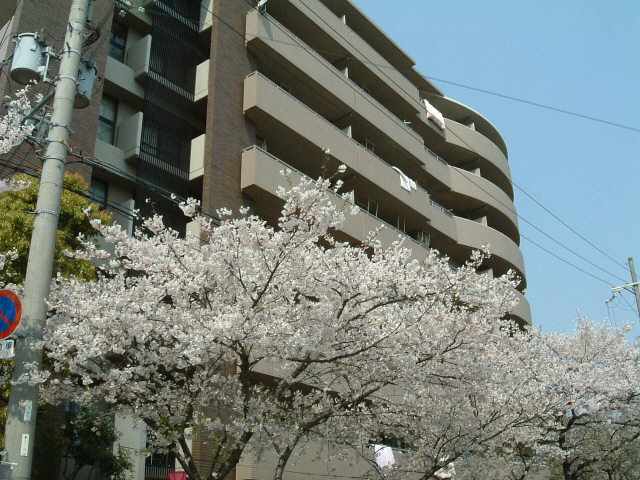河内花園駅の駅近!!高級特優賃マンション!!待望の空き登場!!新婚様オススメ♪♪写真